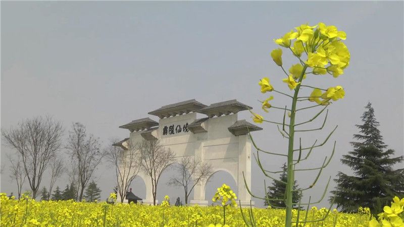 西安霸陵墓園新區(qū)圖片環(huán)境鑒賞