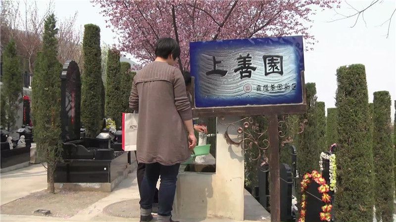 西安霸陵墓園新區(qū)圖片 宣傳 電話