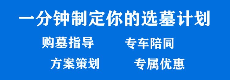 購墓指導(dǎo)、方案策劃