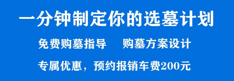 購墓指導(dǎo)、方案策劃