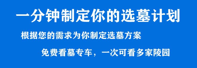 購(gòu)墓指導(dǎo)、方案策劃