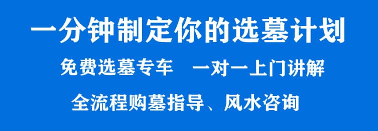 購墓指導、方案策劃