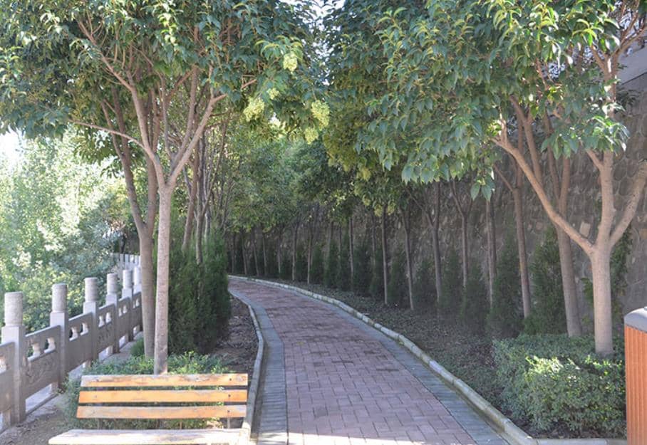 西安霸陵墓園陵園相冊多圖