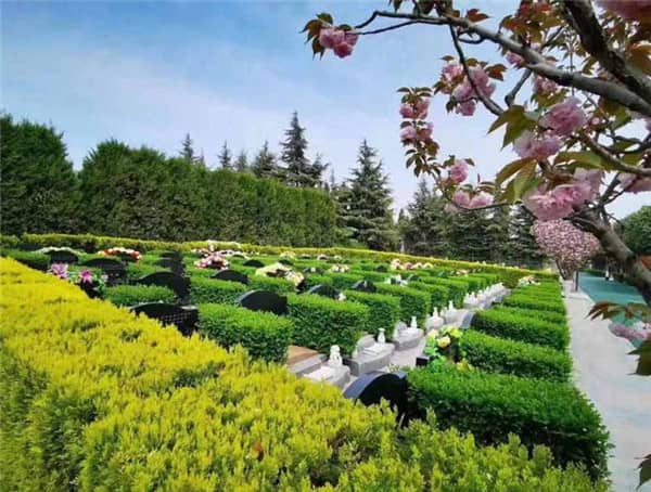 西安閻良漢皇樹葬骨灰公墓在園區(qū)設(shè)計和建筑風(fēng)格上有哪些獨特之處？