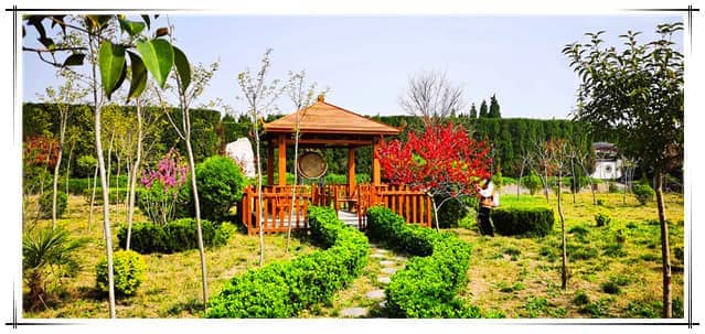 閻良區(qū)漢皇樹(shù)葬墓園的環(huán)境和服務(wù)如何？