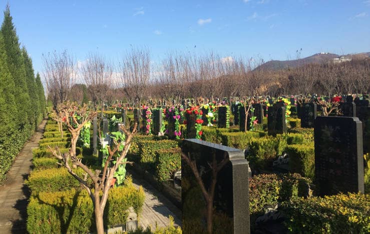 臨潼驪山墓園的價格因素有哪些？