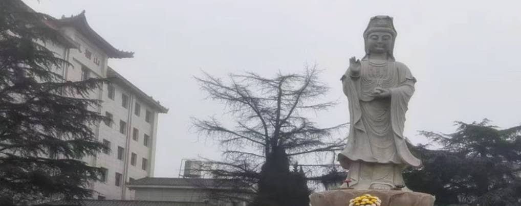 西安鳳棲山墓園南區(qū)是否支持跨地區(qū)骨灰安置服務(wù)？