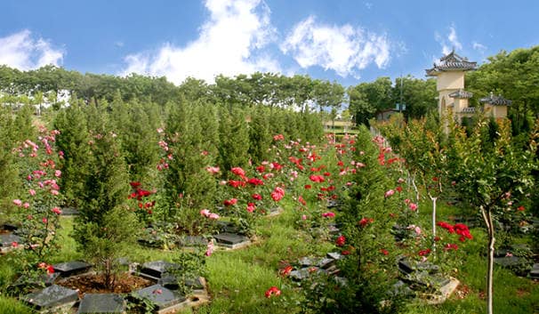 西安鳳棲山墓園北區(qū)辦事處