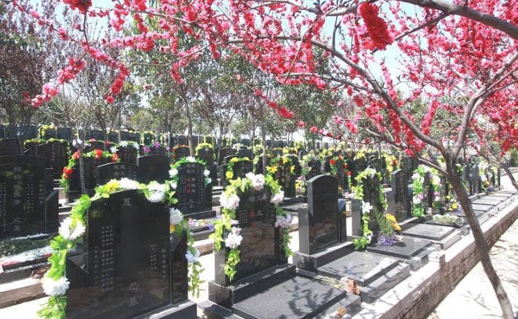 鳳棲山墓園為客戶提供哪些便捷的交通服務(wù)？
