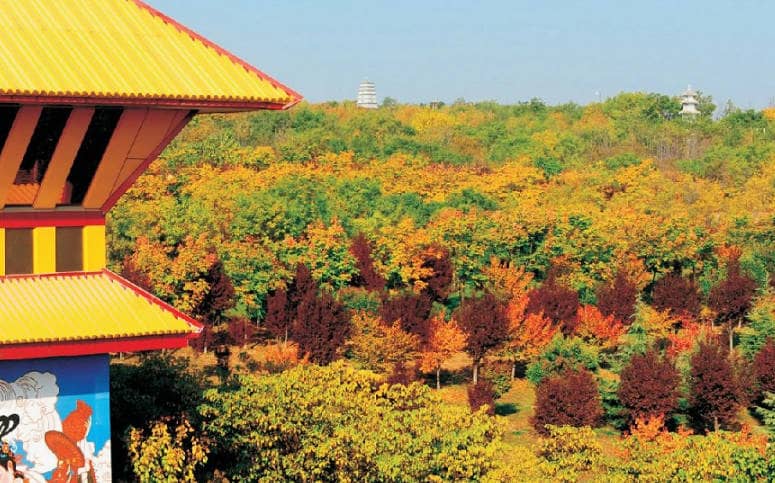 西安市鳳棲山人文紀(jì)念園墓體展示