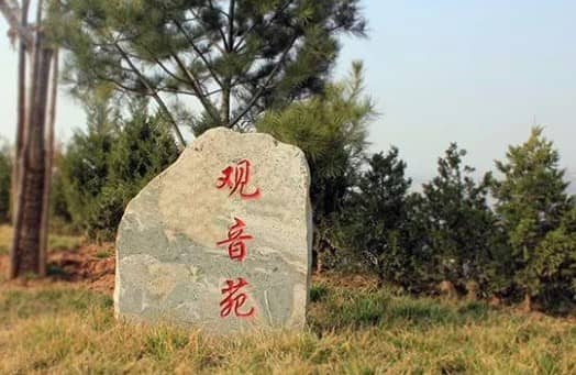 前往西安壽陽山公墓，乘客應(yīng)該如何選擇合適的公交線路，以確保出行的便捷和高效？