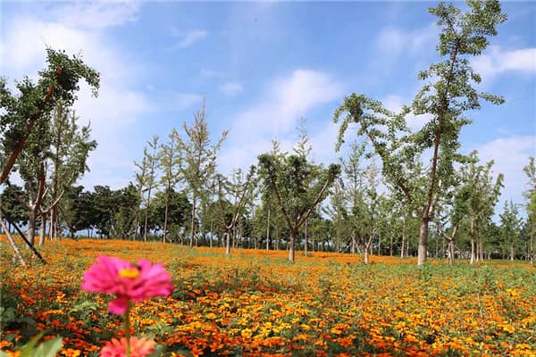 西安壽陽山墓園位置、概況、價格、評價