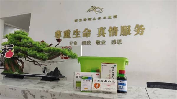 壽陽(yáng)山墓園的水晶碑更是以精湛的工藝