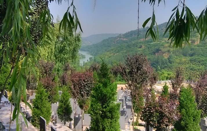 在西安壽陽山墓園選擇墓地并辦理相關(guān)手續(xù)的具體流程是什么？