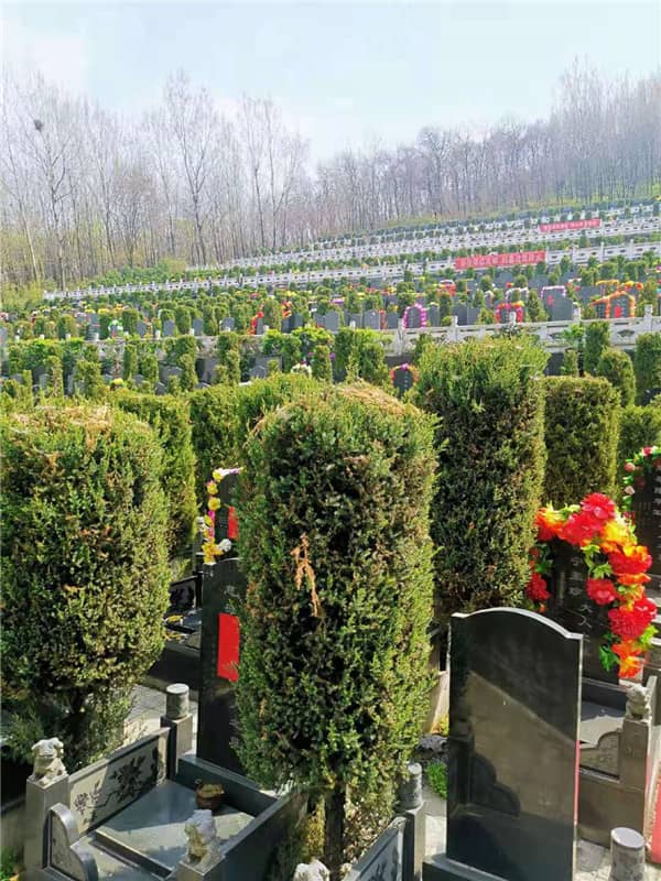 西安九龍山公墓的環(huán)境有哪些特色？ 