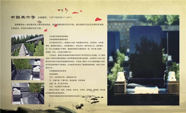 西安市到九龍山墓園公交,專業(yè)分析