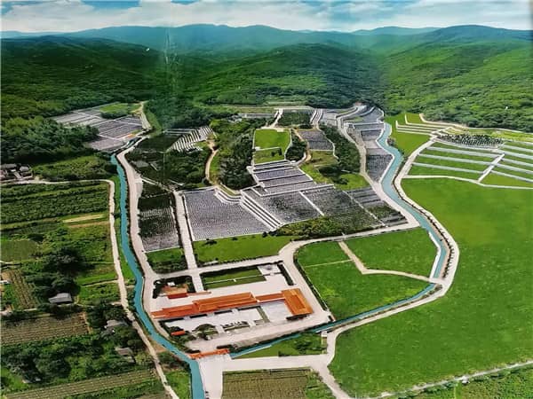 西安九龍山公墓的總規(guī)劃面積是多少，并且是如何進(jìn)行區(qū)域劃分的？