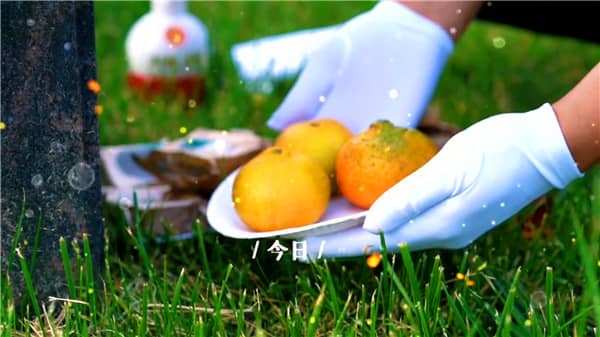 西安的霸陵墓園新區(qū)