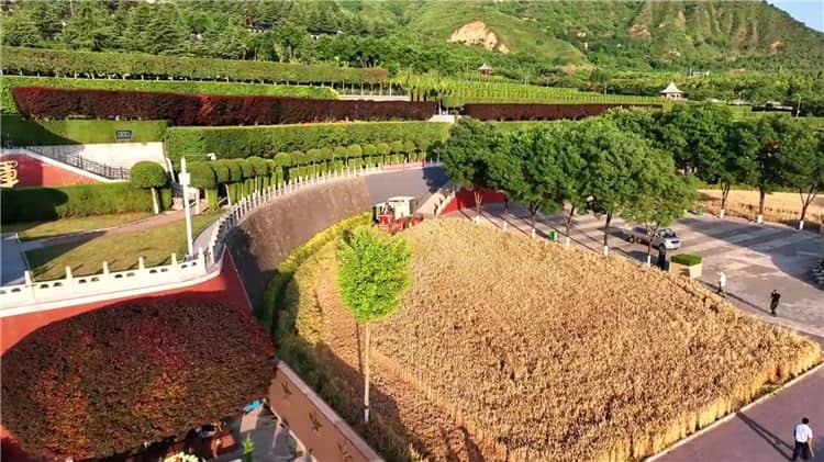 西安霸陵墓園開放時間與入園政策詳解