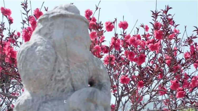西安霸陵墓園實時路況查詢-祭掃高峰期避堵指南