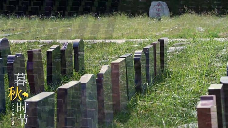 西安灞橋區(qū)霸陵陵園提供了哪些生態(tài)安葬方式？