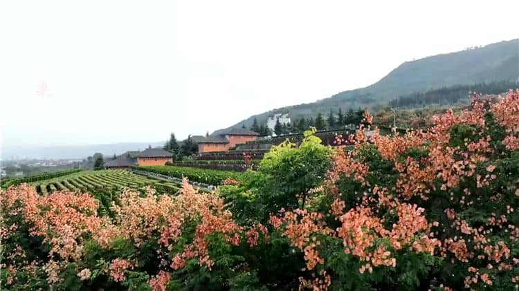 西安霸陵墓園新區(qū)在社會公益性方面有哪些貢獻？