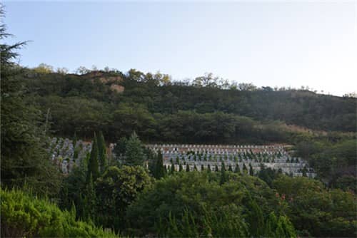 高橋墓園現(xiàn)在能去嗎