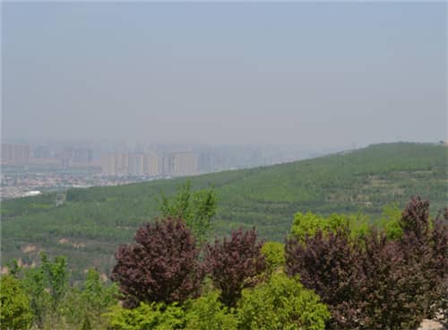 高橋墓園提供了哪些安葬方式，并簡述其特點(diǎn)？