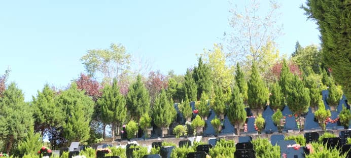 西安白鹿原墓園照片，西安白鹿原公墓有年限嗎