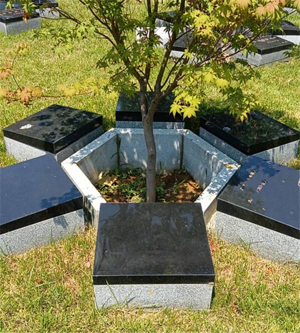 西安鎬京墓園需要預(yù)約嗎，精準(zhǔn)購(gòu)墓！