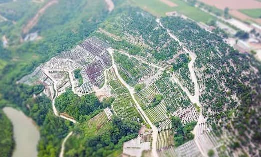 西安大兆村墓地在哪里建