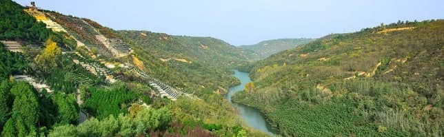 西安國營墓地環(huán)境不錯吧