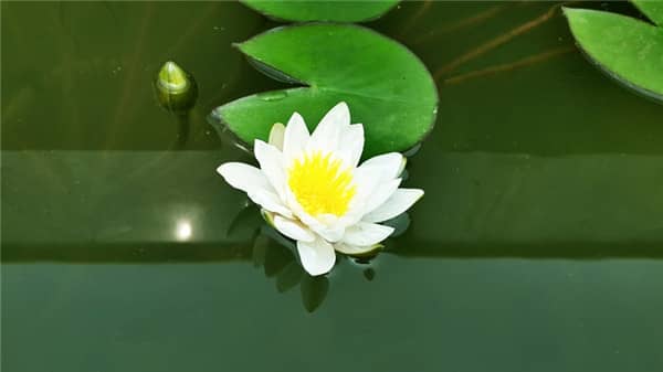 西安陵園墓碑刻字所需資料及注意事項(xiàng)