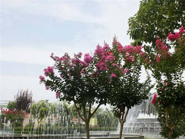 西安市民在選擇殯葬服務(wù)公司時，應(yīng)該考慮哪些關(guān)鍵因素以確保服務(wù)質(zhì)量和合法性？