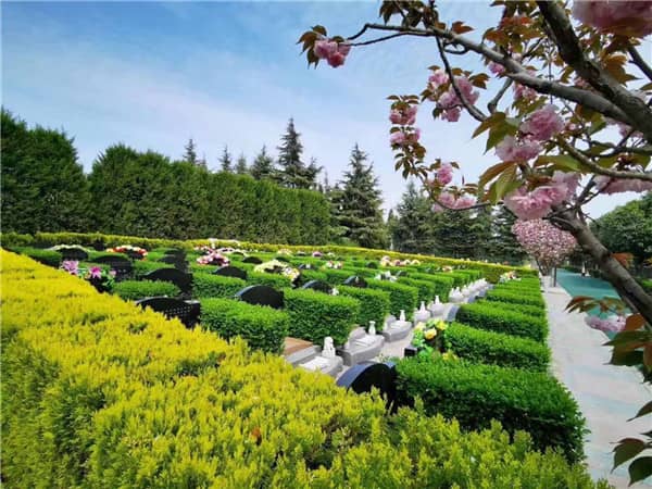 西安新墓園在哪里，墓地購買必看