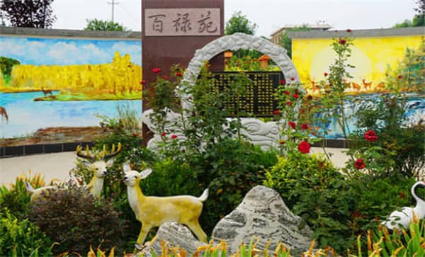 西安的樹葬墓園在推廣綠色殯葬方面有哪些舉措?